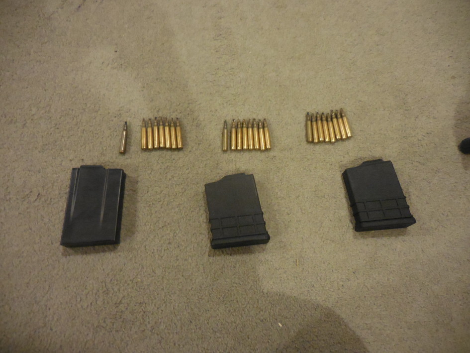 RG 5.56 blanks