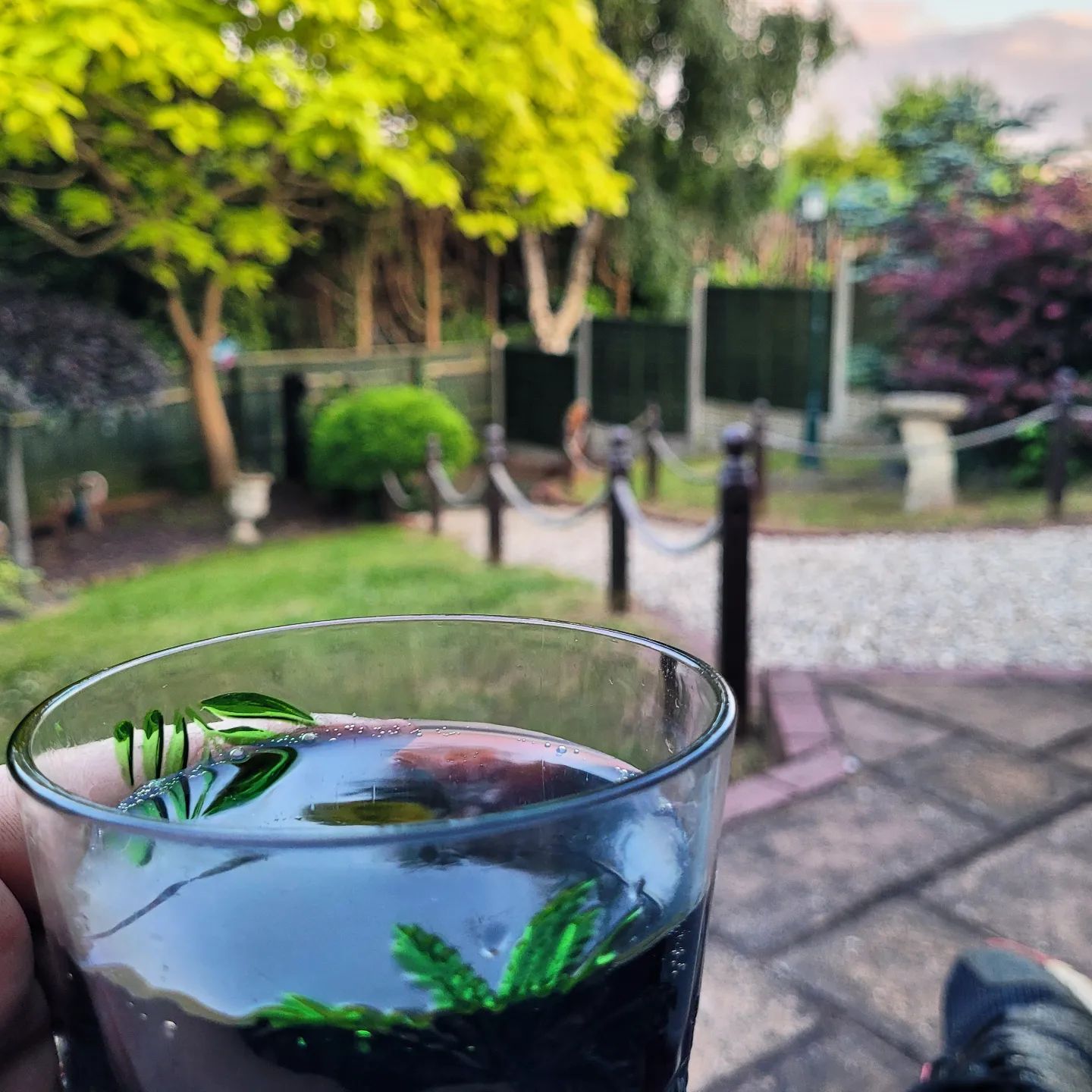 One from last night after I'd just managed to paint the replacement fence panels on the garden.
Well deserved rum and coke.
#NotAGardener